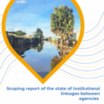 Scoping Report State of Institutional Linkages between Agencies 2023