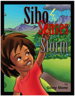 Sibo Senses a Storm book