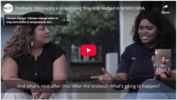 Testbeds: Introducing a season-long “king-size” testbed in WISER EWSA